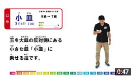 けん玉の技解説②　小皿-How to Small cup-